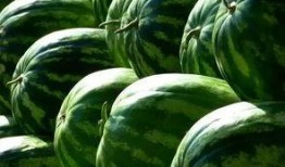 什么瓜可以烤着吃,揭秘哪些瓜类可以烤着吃