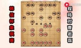 吃瓜象棋大师,揭秘棋坛风云背后的趣味故事