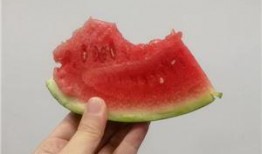 吃10万的瓜,一场网络狂欢的真相揭晓