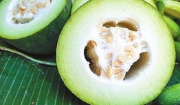 木兔吃瓜,木兔的瓜田奇遇记