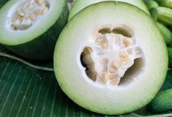 吃瓜用户白胚,揭秘网络热词背后的故事