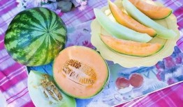 吃哈密瓜中间要,甜蜜滋味中的文化传承