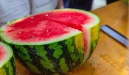 西科大科大苑吃瓜