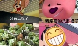 ucsd吃瓜pdf,揭秘“吃瓜”PDF背后的精彩故事