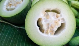 吃瓜先吃哪个,揭秘先吃哪个瓜的奥秘