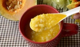 吃瓜饭雪诺,揭秘雪诺背后的故事与魅力