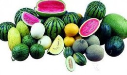 吃瓜弊端,过度关注背后的隐忧