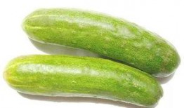 雀瓜怎么吃减肥