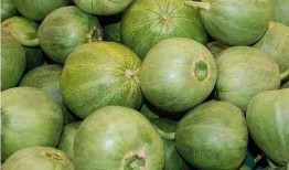 贵州吃的瓜,从酸辣到鲜香，一网打尽特色瓜果佳肴