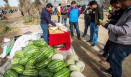 地域吃瓜,一网打尽各地风味