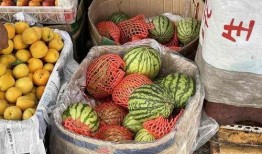 济南吃的长条瓜,长条瓜的独特风味探秘