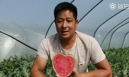 吃瓜友视频,带你领略娱乐圈幕后故事