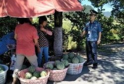 孙九芳吃瓜群众,吃瓜群众眼中的喜剧女神