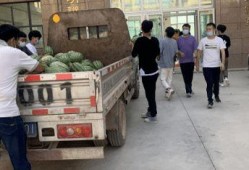 潞城吃瓜新闻事件,一场引发热议的社区事件揭秘