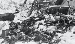 曹县吃瓜事件始末,一场网络狂欢背后的真相与反思