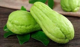 胡明昊吃瓜,揭秘娱乐圈幕后真相