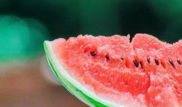 吃瓜吃瓜雪兔,揭秘冬日里的甜蜜生活