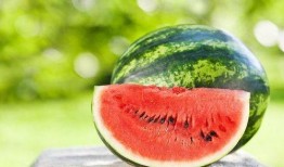 吃瓜贴纸,揭秘网红吃瓜贴纸背后的趣味与潮流