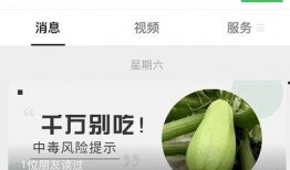 吃葫芦瓜导致口干,揭秘消暑美食背后的健康隐患