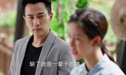 热播剧吃瓜,揭秘热播剧背后的秘密与真相