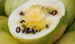 吃瓜先吃哪个,揭秘先吃哪个瓜的奥秘