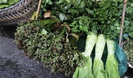 荒瓜可以怎么吃,创意烹饪新体验