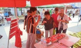 吃瓜转业户,见证蜕变之路