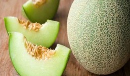 儿童天天吃哈密瓜好吗吗,营养与健康的双重益处