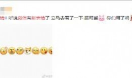 吃瓜微信怎么打出来,微信打字新姿势