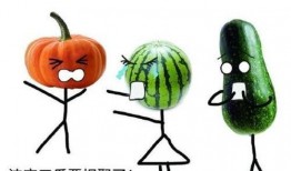 吃瓜缘分,一场意外的吃瓜之旅