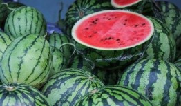 吃10万的瓜,一场网络狂欢的真相揭晓