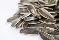 吃瓜葵花籽,葵花籽香飘四溢