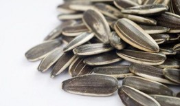 吃瓜葵花籽,葵花籽香飘四溢