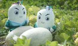 吃瓜缘分,一场意外的吃瓜之旅