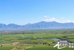 天镇县吃瓜,探寻当地特色美食之旅