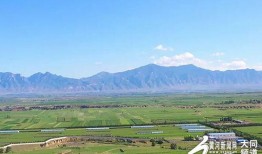 天镇县吃瓜,探寻当地特色美食之旅