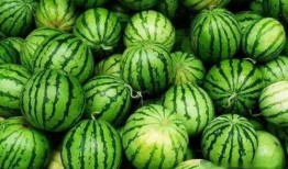 过路的吃瓜人,见证人间百态