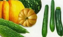 残瓜怎么吃,残瓜变废为宝的多样美味食谱