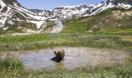 大熊的吃瓜日湖,揭秘湖畔的欢乐时光