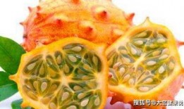 如何形容吃刺角瓜的感觉,舌尖上的独特之旅