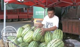 吃瓜季度版,盘点娱乐圈最新热点与幕后故事