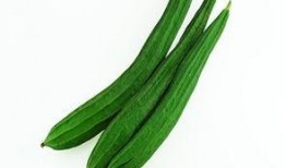 西安吃瓜女子,网络热议背后的真相与反思