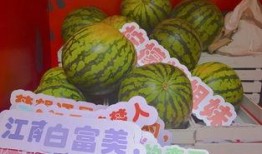 园林吃瓜,吃瓜畅享清凉时光