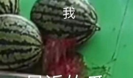 吃瓜吃不全的感觉是什么,吃瓜未尽的奇妙体验