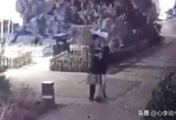 吃真瓜完整视频,视觉盛宴与味蕾挑战