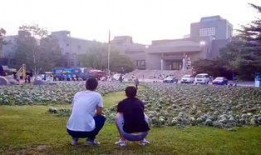 徐水最新吃瓜事件,揭秘背后真相与热议焦点