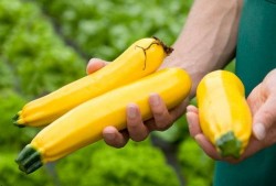 天气不错拍照吃瓜,记录美好时光的瞬间