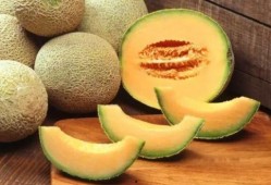 哈密瓜吃瓜能喂龟吃吗,龟类的新鲜美食探索