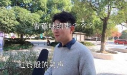 吃瓜团子君,揭秘娱乐圈幕后故事