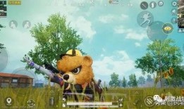 大熊的吃瓜日湖,揭秘湖畔的欢乐时光